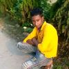 rajababulavarboy