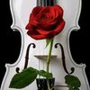 song.music007