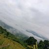 maichang499