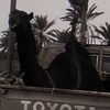 عـاشق الـپـل 🤍🐪