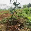 suonchuangot38
