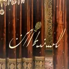 mr.tarzan302