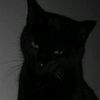 elanur.elik37