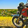 .rodikchpeks