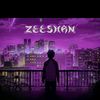 _zrzeeshan