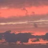 cielcvier