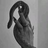 louve_m0