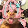 Shadory Sama