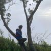 taufik129657