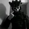 aafirbguz06