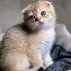 nina.9620
