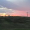 everlee_smutz