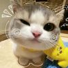 kisukeon