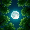 fahad.hussain539