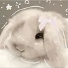 felix_el_pollit0