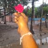 tisma730