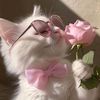 sandra__862