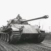 sergeij75