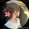 safiamoussaoui621