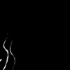 team_negro4802