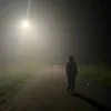 без названия.