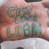thecachi7