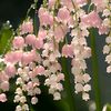 crystalwilson.blo