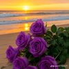 user3228131519654