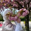 rasha.ameean