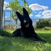 pauula_013