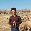 sarhadmantk5