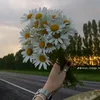 helin koyi