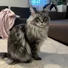evelynfilip7