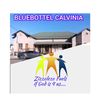 bluebottle.calvini
