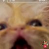 lltom72