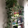 ashleys.bookshelf5