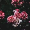 eternalsoulsvintage