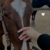 ninouch327