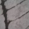 sx1sfh2