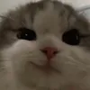 theogprop_