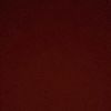 aspam_77
