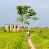 Đắng