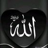 user6677423077519