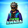 awara.gamer70