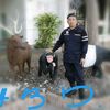 user8411431444176
