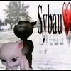 sybau.sybau9687