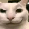 alextmp8