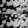 ke.n.dnh