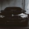 alex_pygach