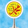 fatimanasir1846